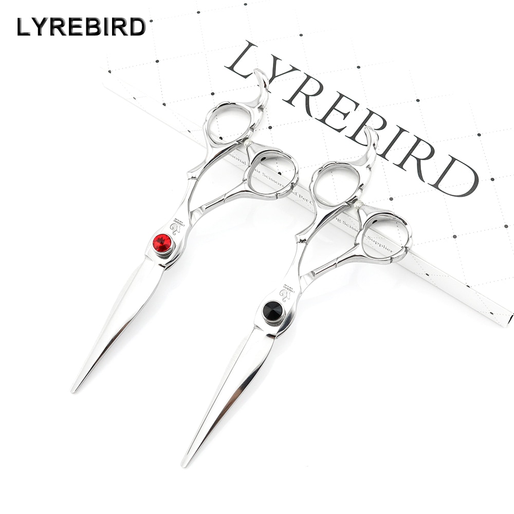 Ϻ    6 ġ        Ƽ  ڵ lyrebird high class new